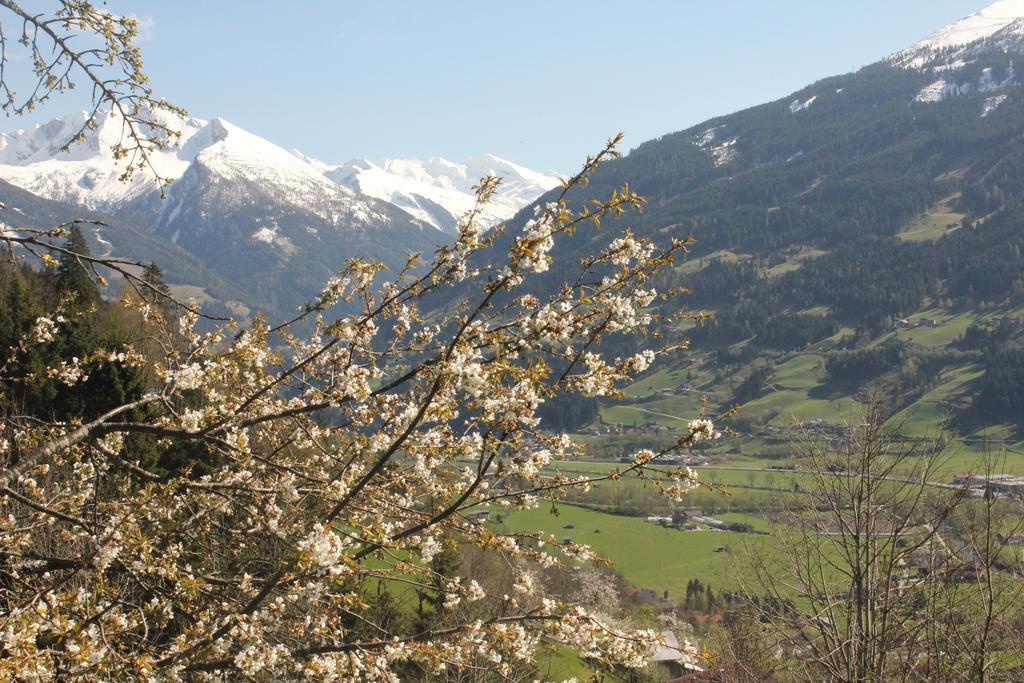 Villa Bauernhof Grussberggut Bad Hofgastein Exterior foto